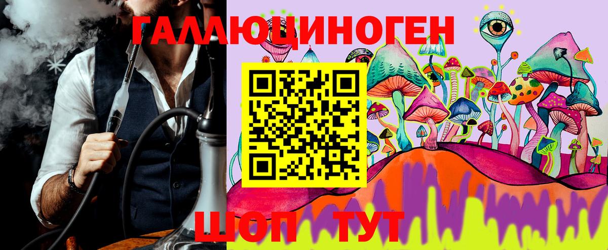 Галлюциногенные грибы GOLDEN TEACHER  Вход с VPN  Богородск  Псилоцибиновые грибы Cubensis 