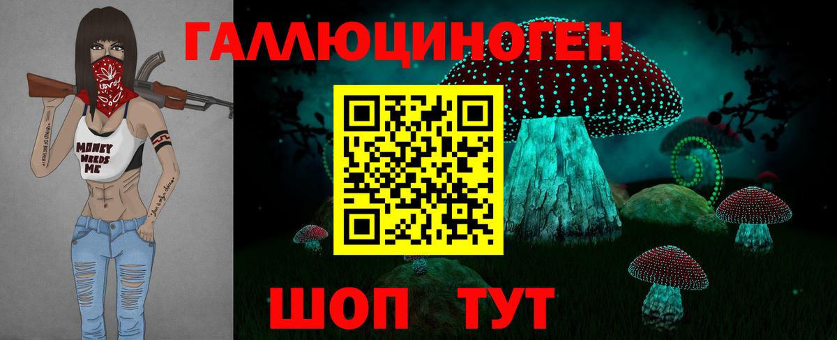 Псилоцибиновые грибы Psilocybe Богородск